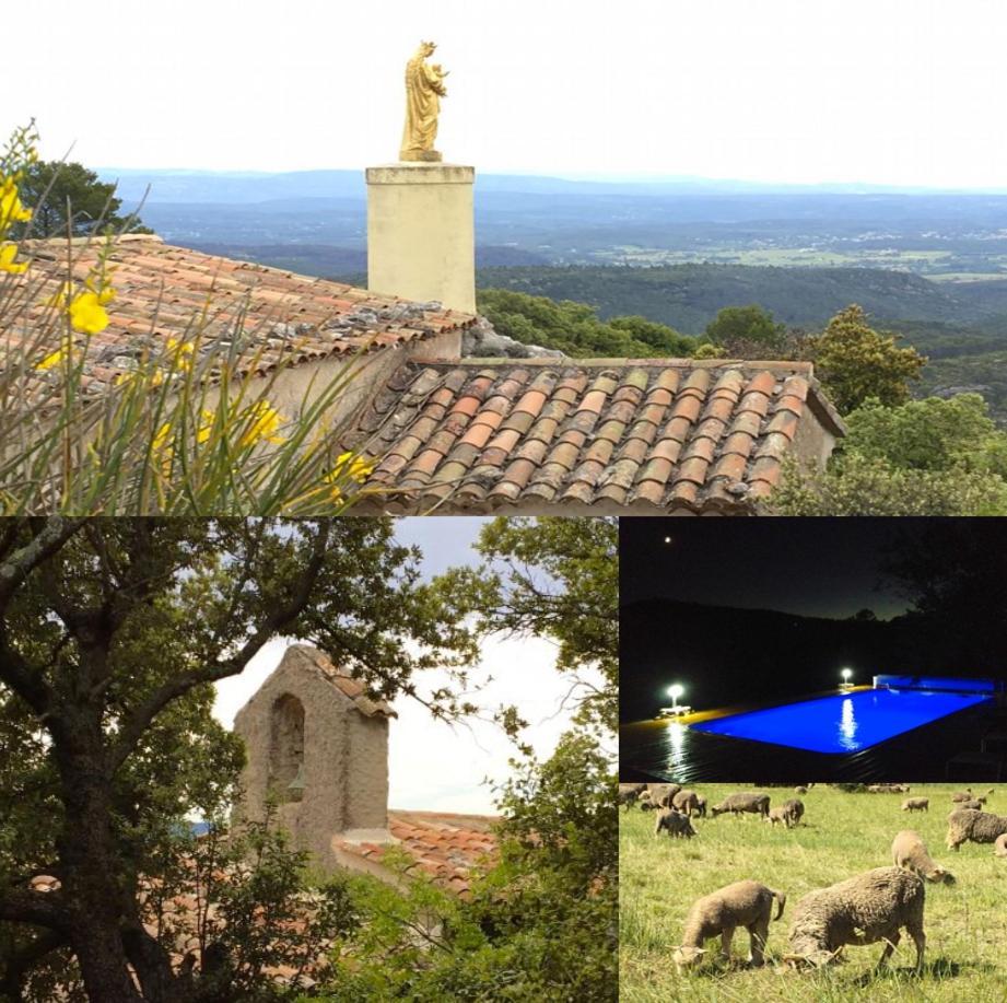 La Villa Aux Oliviers Le Val Exteriör bild